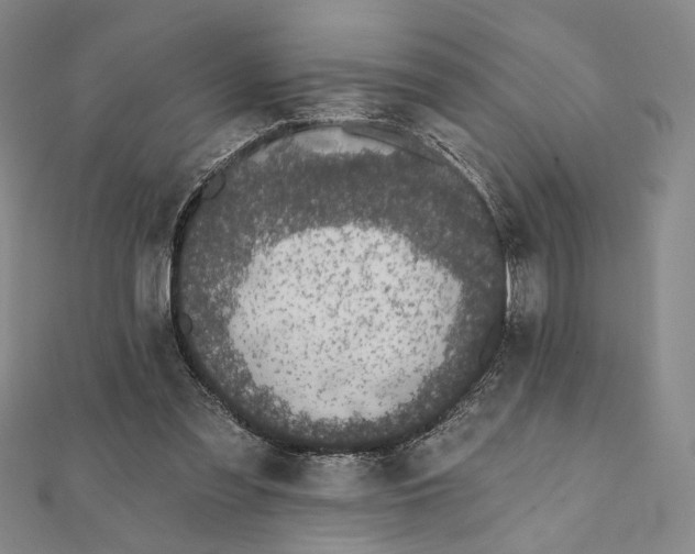 X0000112060301200908251027