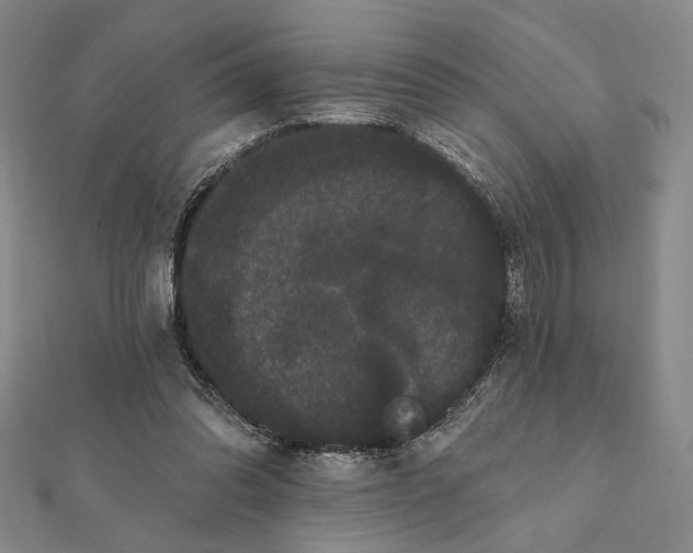 X0000112060302200908251027