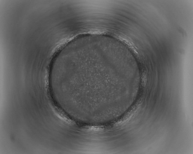 X0000112060303200908251027