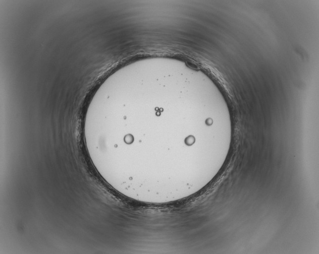 X0000112060305200908251027