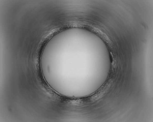 X0000112060306200908251027