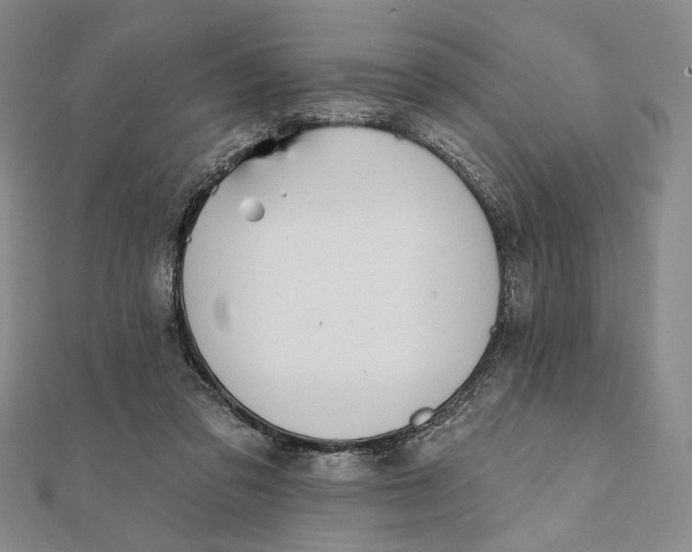 X0000112060309200908251027