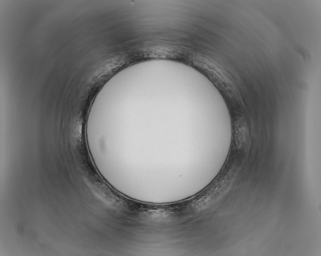 X0000112060310200908251027