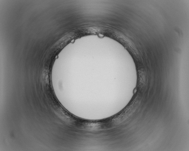 X0000112060313200908251027