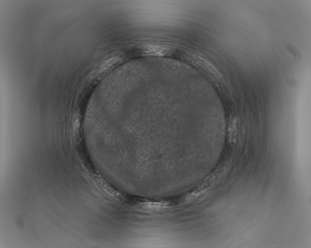 X0000112060314200908251027