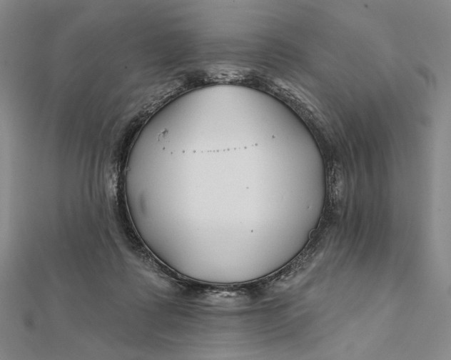 X0000112060315200908251027