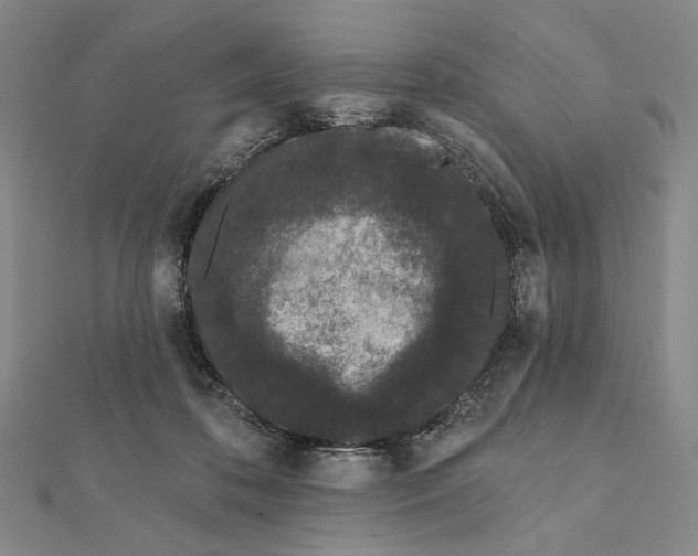 X0000112060316200908251027