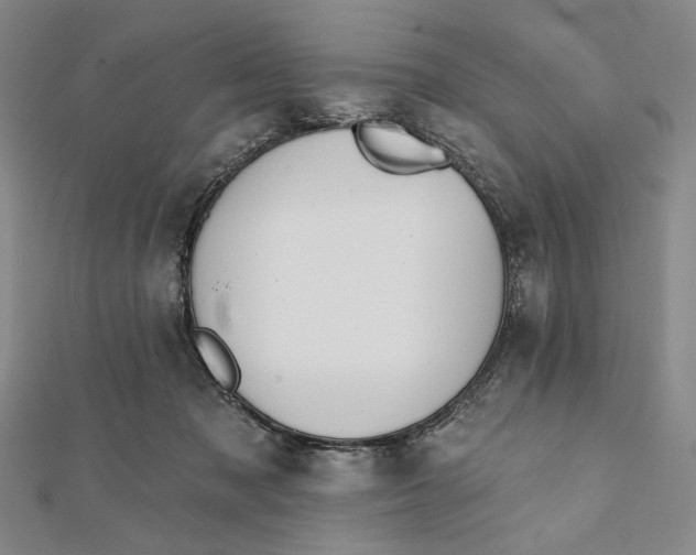 X0000112060317200908251027