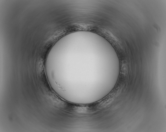 X0000112060318200908251027