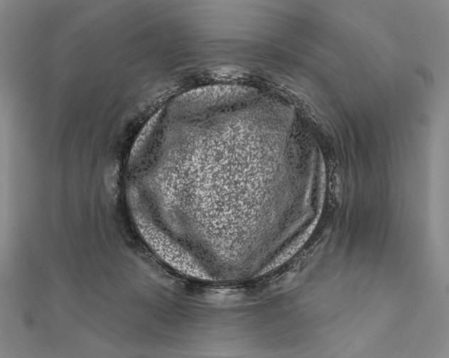 X0000112060319200908251027