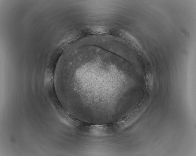 X0000112060320200908251027