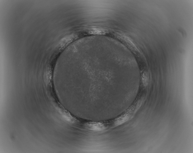 X0000112060322200908251027