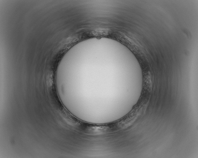 X0000112060323200908251027