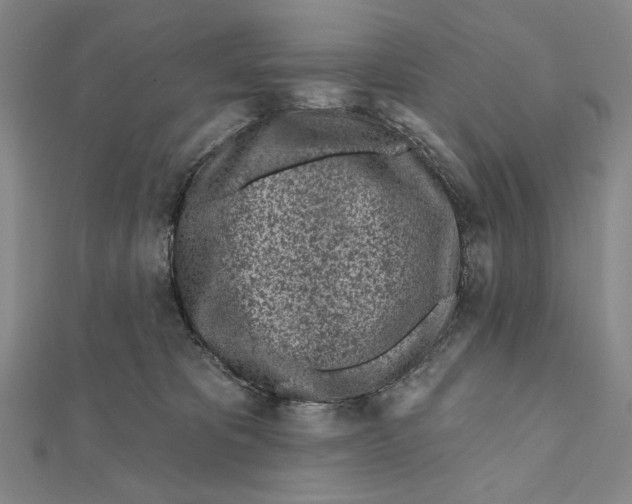 X0000112060325200908251027