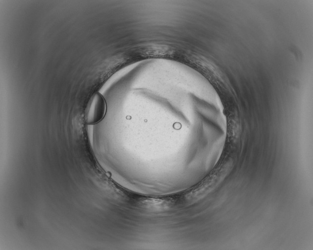 X0000112060326200908251027