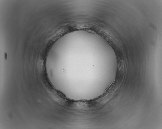 X0000112060327200908251027