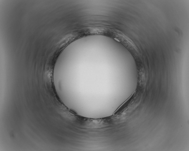 X0000112060329200908251027