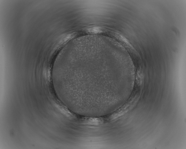 X0000112060330200908251027