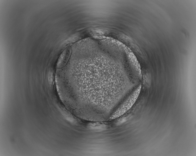 X0000112060331200908251027