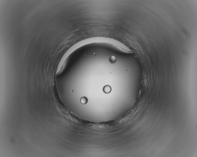 X0000112060332200908251027