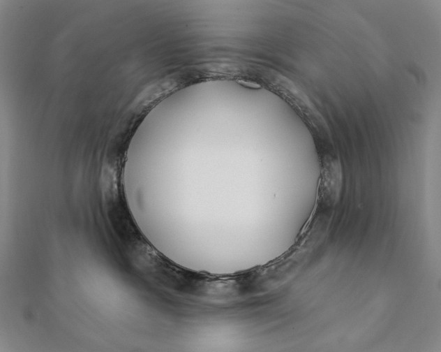 X0000112060333200908251027