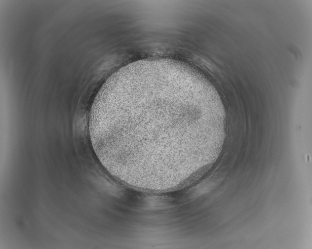 X0000112060336200908251027