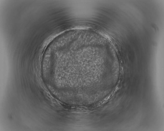 X0000112060337200908251026