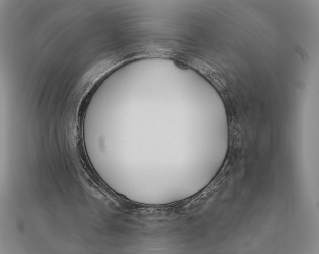 X0000112060338200908251026