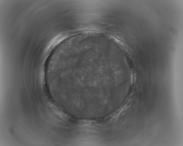 X0000112060339200908251026