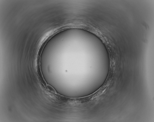 X0000112060340200908251026