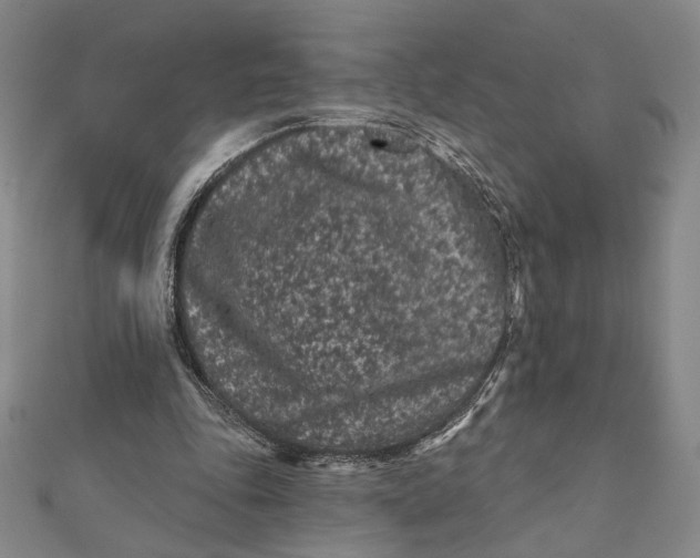 X0000112060343200908251026