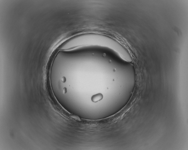 X0000112060344200908251026