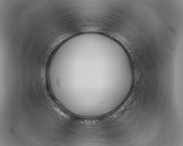 X0000112060345200908251026