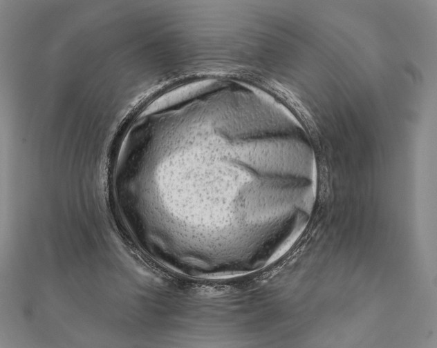 X0000112060346200908251026