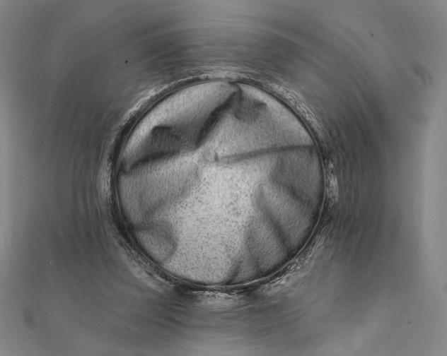 X0000112060347200908251026