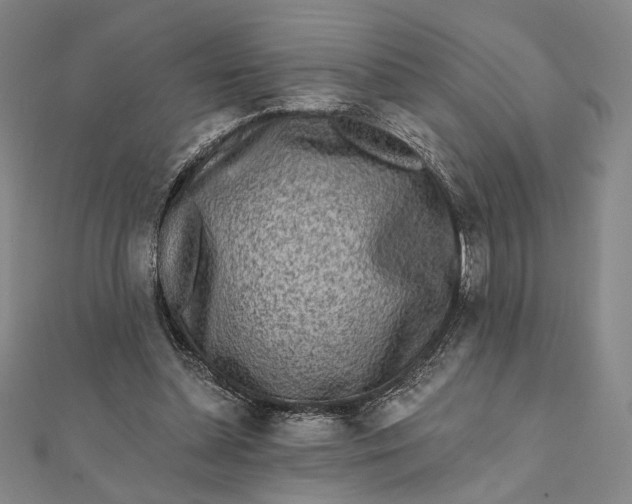 X0000112060348200908251026