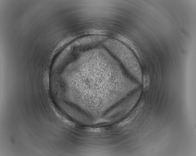 X0000112060349200908251026