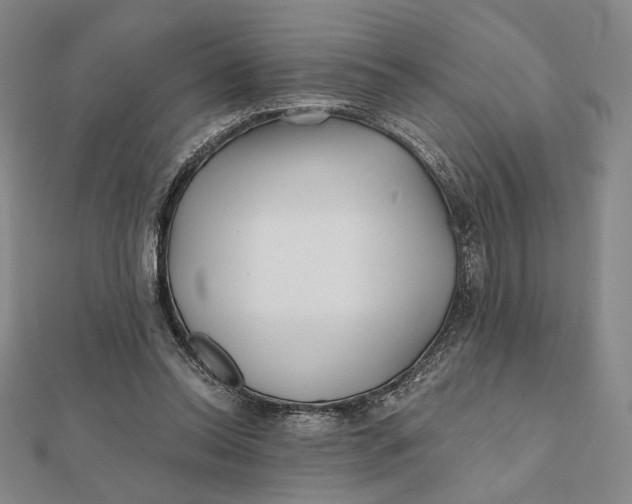 X0000112060350200908251026