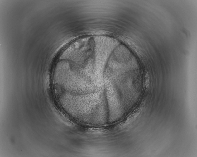 X0000112060351200908251026