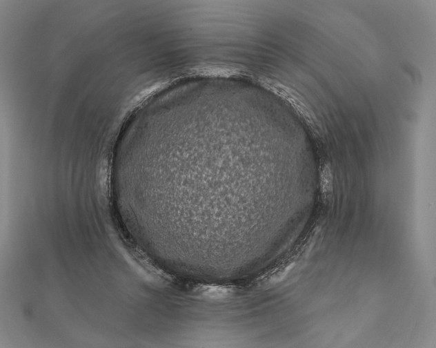 X0000112060352200908251026