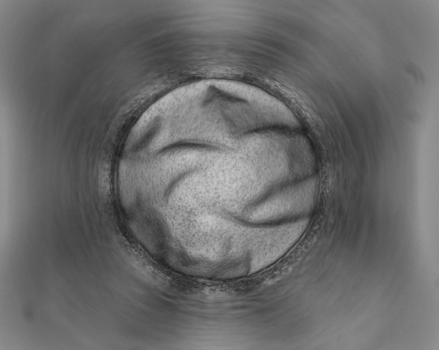 X0000112060353200908251026