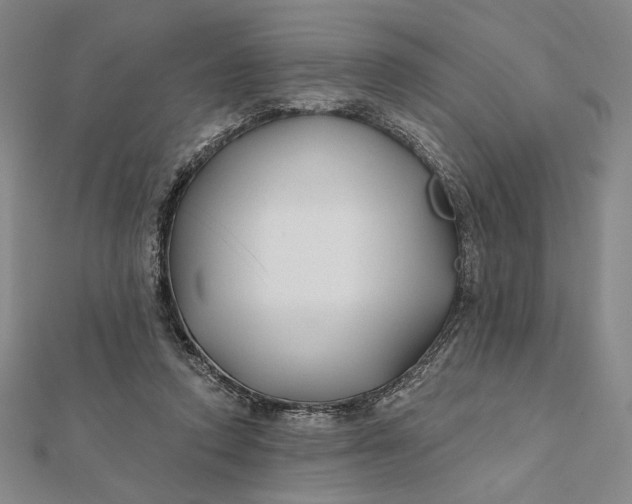 X0000112060354200908251026