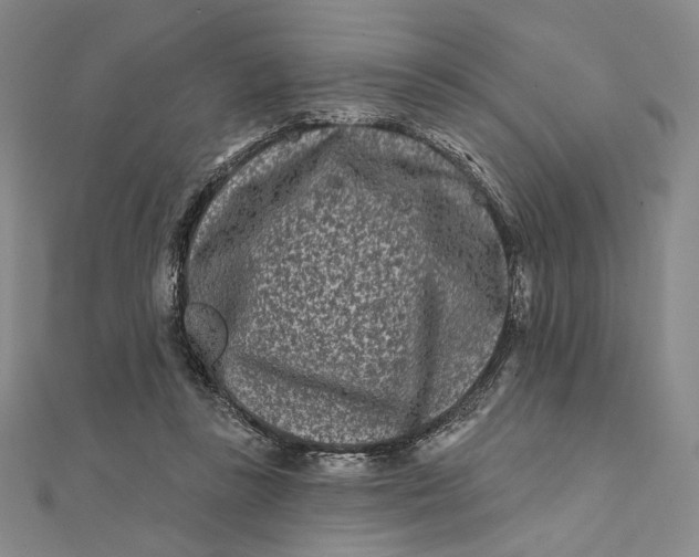 X0000112060355200908251026