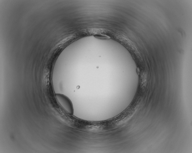 X0000112060356200908251026