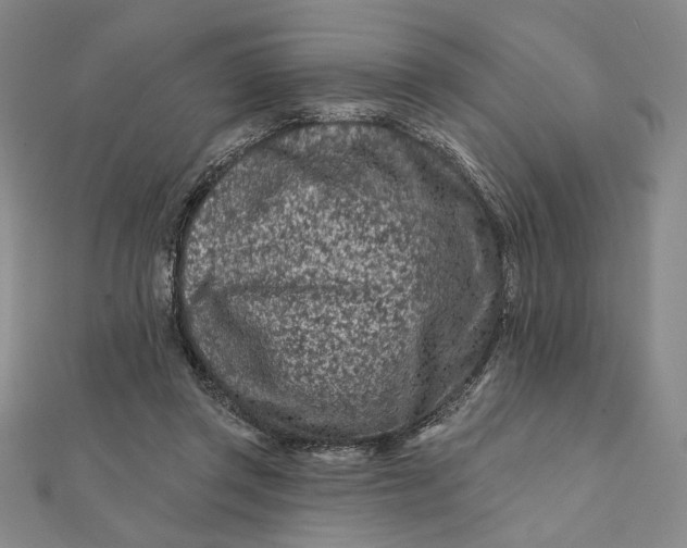 X0000112060357200908251026