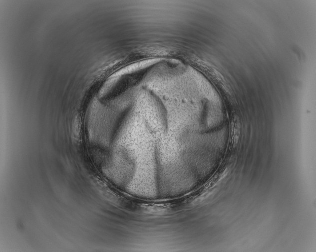 X0000112060359200908251026