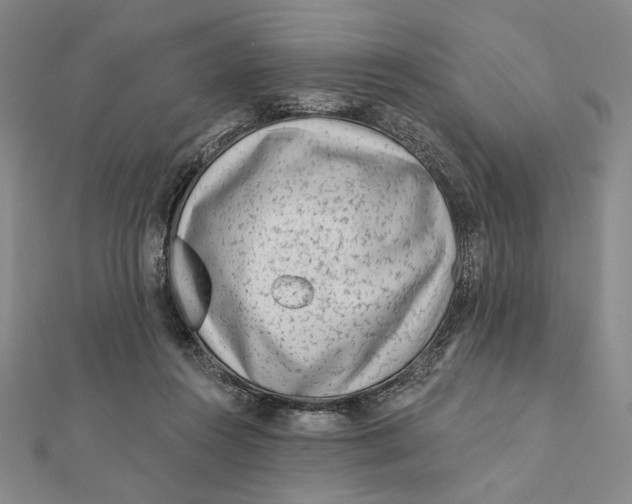 X0000112060360200908251026