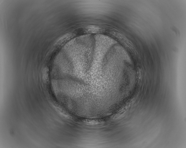 X0000112060361200908251026