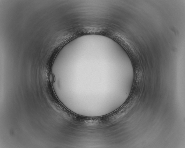 X0000112060362200908251026