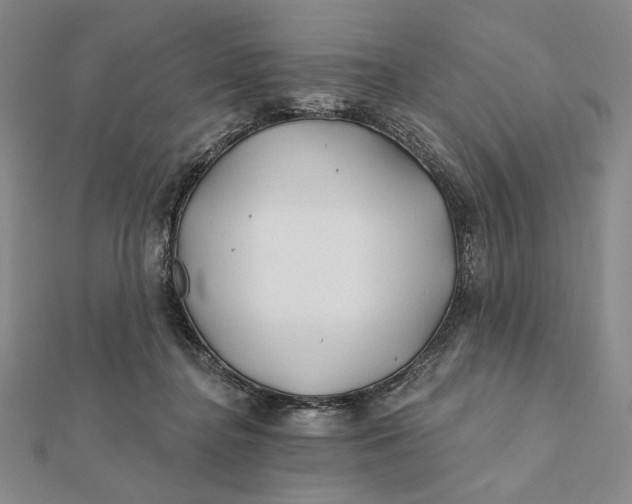 X0000112060364200908251026